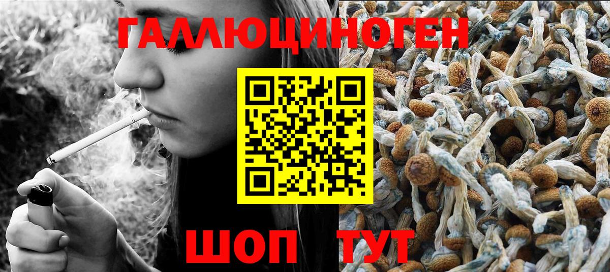 Псилоцибиновые грибы ЛСД Ишимбай